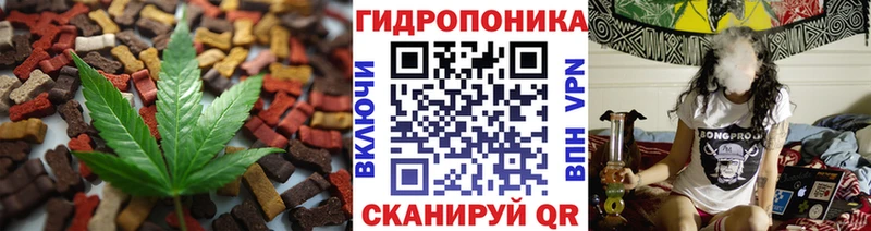 Cannafood конопля  Плёс 