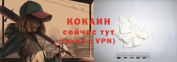 сатива Магас