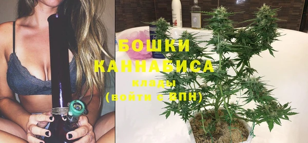 сатива Магас