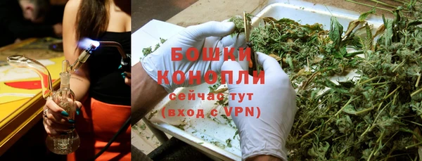 гидропоника Медногорск