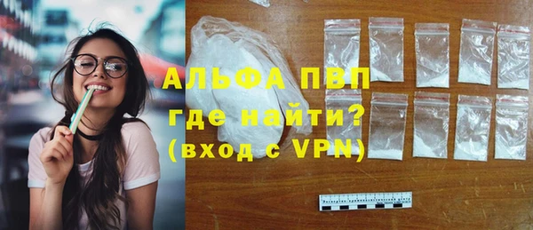 стаф Майский